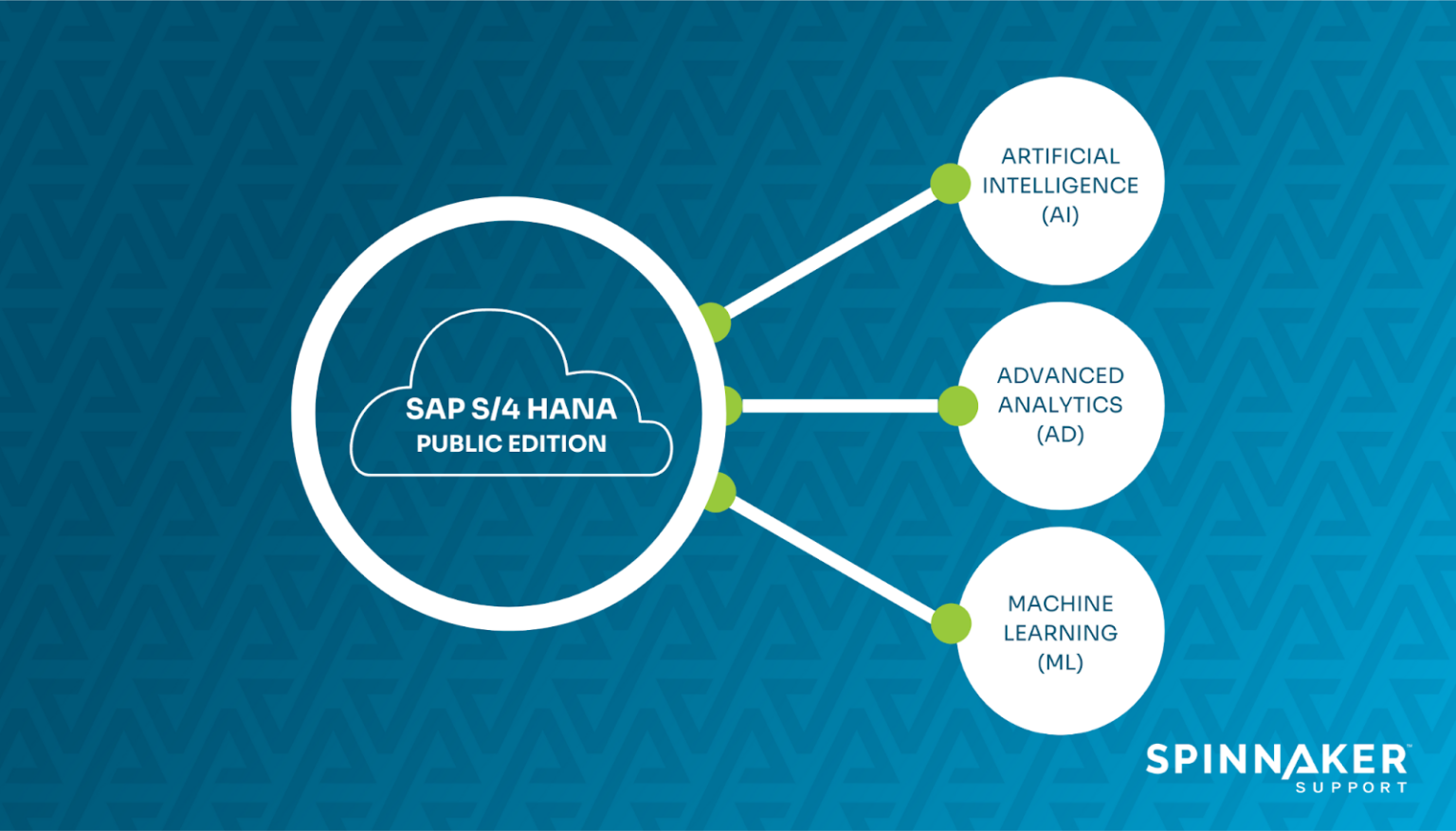 SAP S 4HANA Public Vs Private Cloud Editions