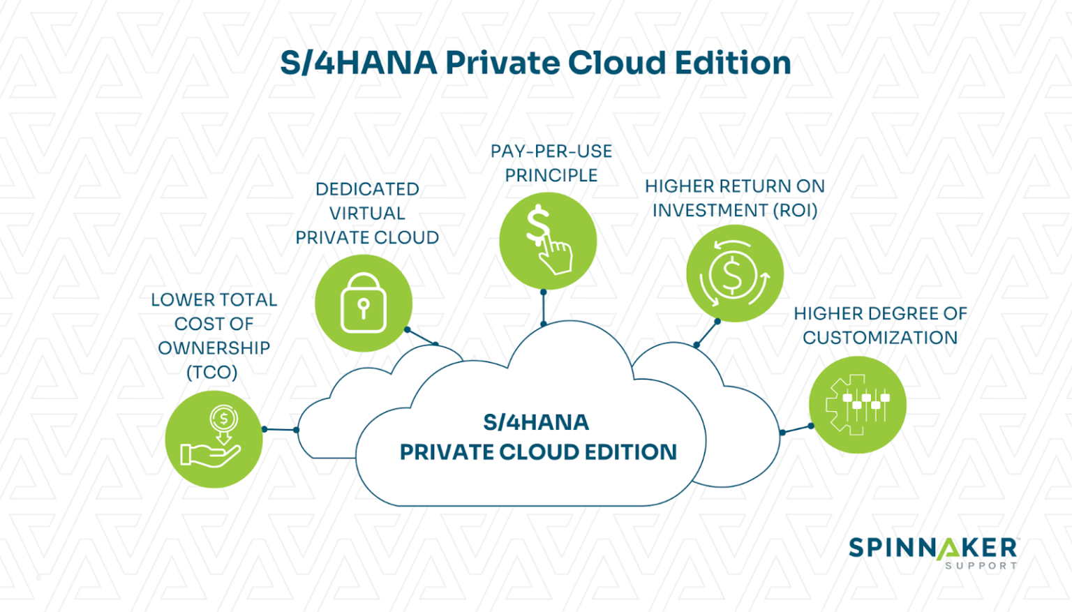 SAP S 4HANA Public Vs Private Cloud Editions