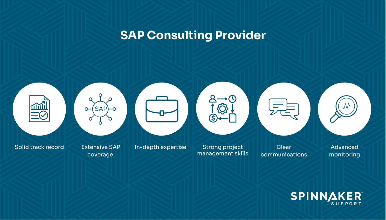 SAP consulting provider