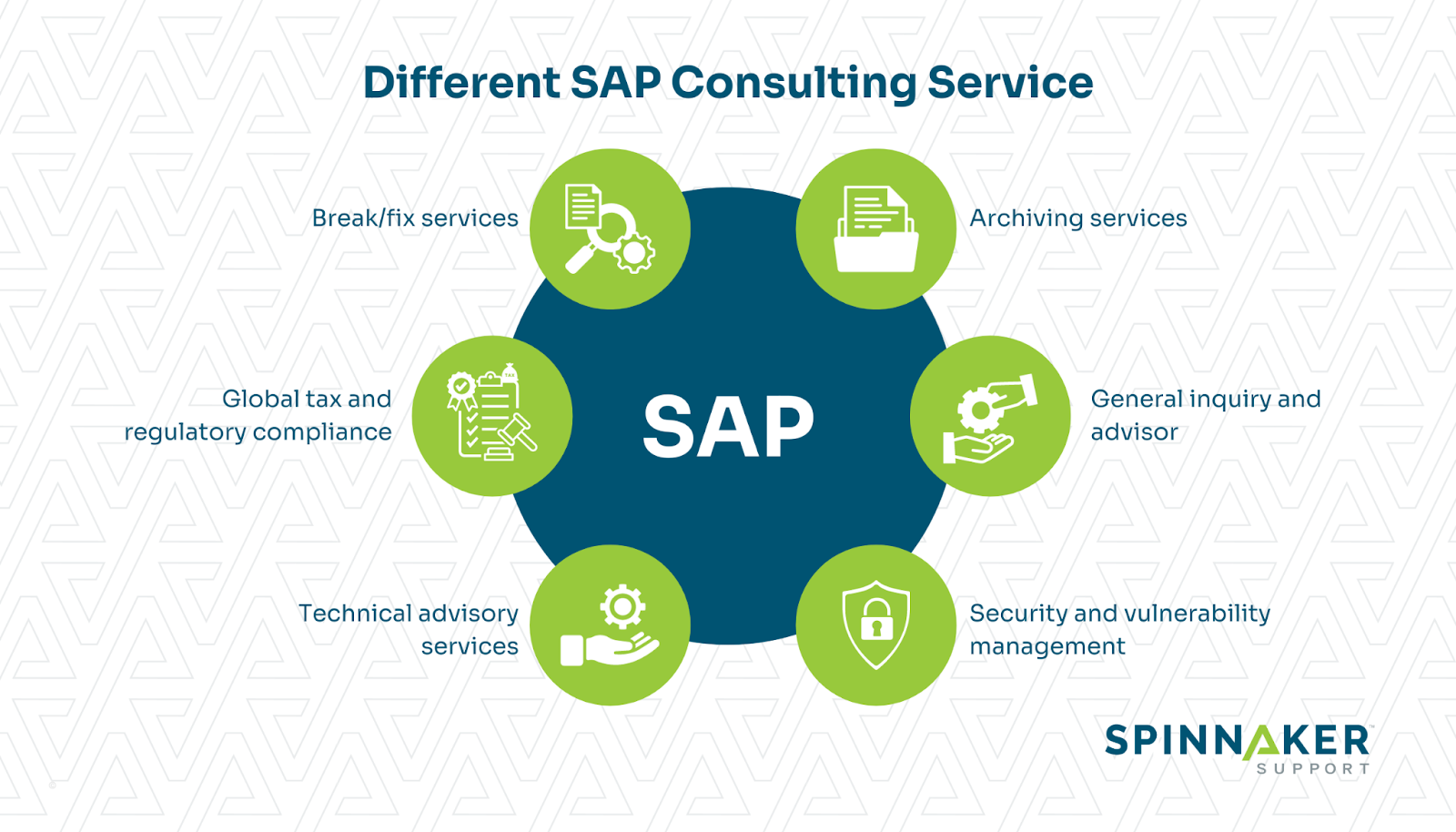  SAP consulting provider