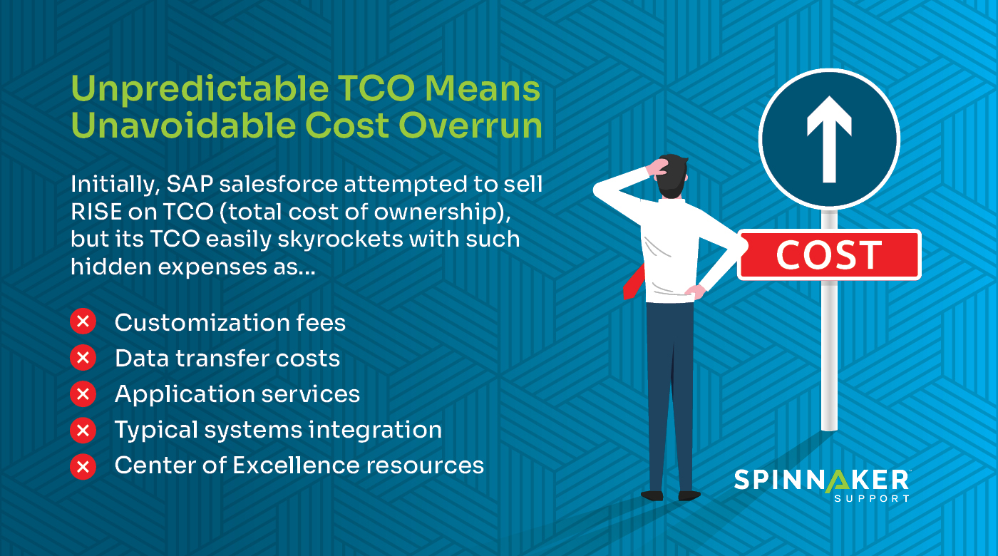 Unpredictable TCO Means Cost Overrun