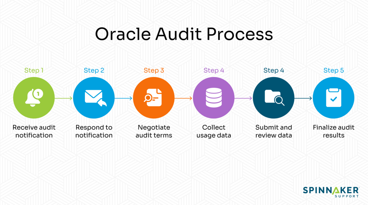 Oracle audit process